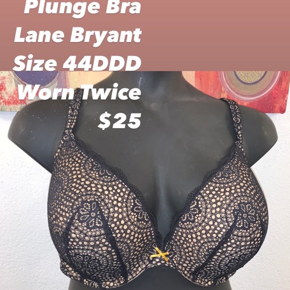 Plunge Bra